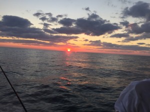 Saltwater Fishing | Galveston Bay Fishing Charter & Guide, TX | Frazier's Guide Service